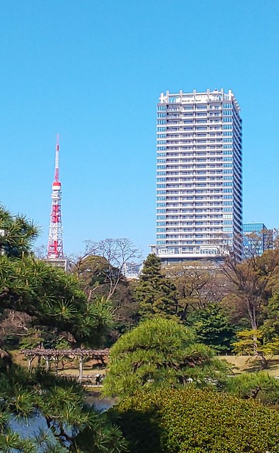 確かに東京タワーだけ