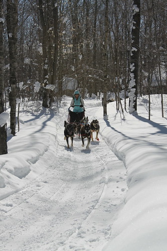 Dog Sledding & Ice Caves of Northern Michigan, March 2019