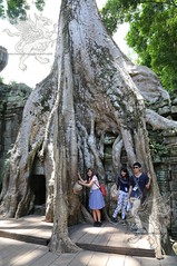 Angkor_Ta Prohm_2014_31