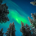 The Aurora Borealis - Ivalo, Lapland - Travel photography