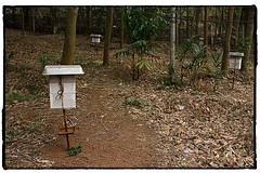 Bee Hives at one of our relatives  property. #photography #photooftheday #photoadaychallenge #project365 #canon7d #canon2470mm #beehives #kerala #india