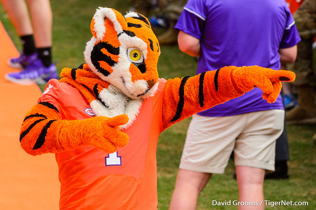 Clemson Football Photo of The Tiger