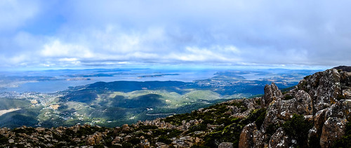 Mt Wellington View