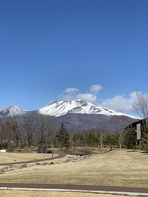 軽井沢は浅間の雪景色が見事です。普段は都...