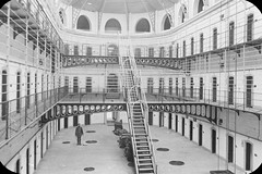 Anglų lietuvių žodynas. Žodis prison cell reiškia kalėjimo kameroje lietuviškai.