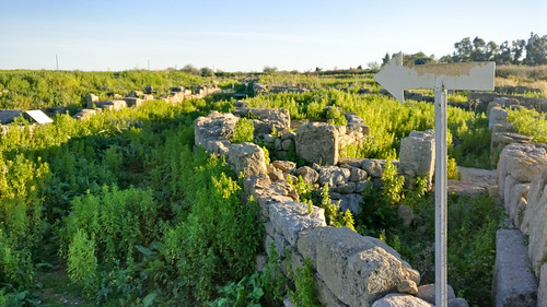 Archeological site Megara Hyblaea, Sicily