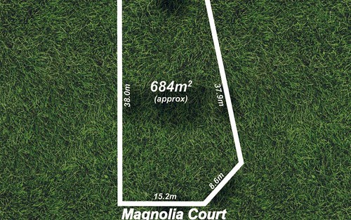 6 Magnolia Court, Banksia Park SA