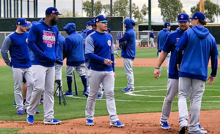 Cubs  Photo of spring and training