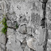 Stone wall • <a style="font-size:0.8em;" href="http://www.flickr.com/photos/26088968@N02/47140983991/" target="_blank">View on Flickr</a>