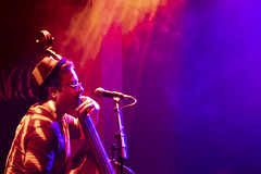 Project 365: Day 130