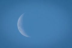 20190210_1575_7D2-600 Five day old moon (041/365)