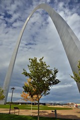 A Portrait Orientation of the Gateway Arch and Some Nearby Trees (Gateway Arch National Park)