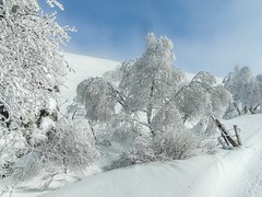 4 • <a style="font-size:0.8em;" href="http://www.flickr.com/photos/161151931@N05/39825620033/" target="_blank">View on Flickr</a>