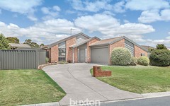 14 Kildare Court, Invermay Park Vic