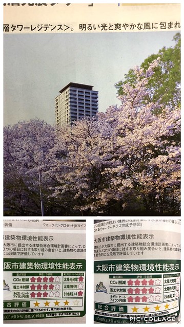 桜の木で28階建てのDグランセ見えないか...