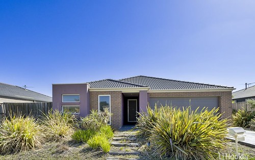 29 Hydrangea Dr, Point Cook VIC 3030
