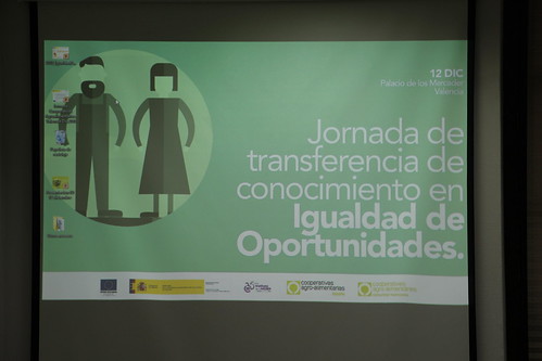 Jornada de intercambio de experiencias en Igualdad de Oportunidades. Valencia (12-12-2018)